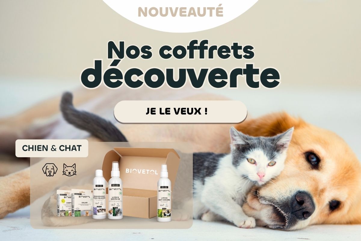 alt coffret